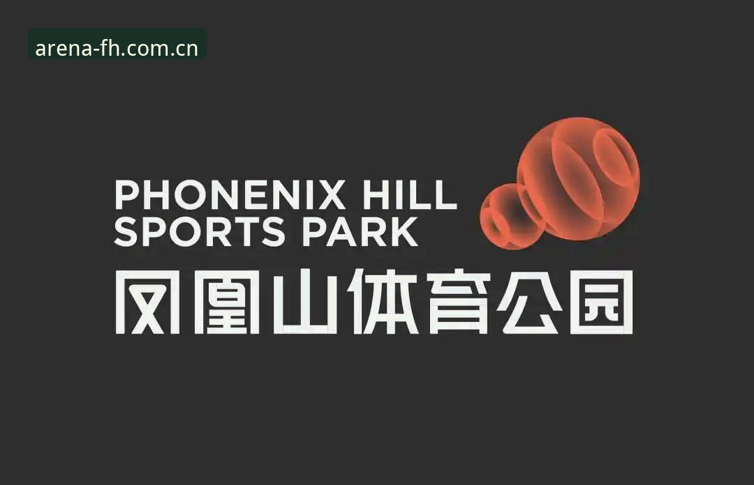 FH体育平台软件官方下载指南：从安装到高阶功能的实用技巧